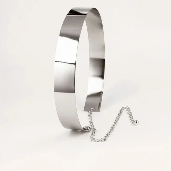 Sleek Silver Women’s Belt - Picture 4 of 8